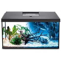 Leddy 40, acquario completo - Aquael 2