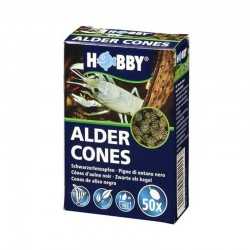 Pigne Ontano Alder Cones 50 pz