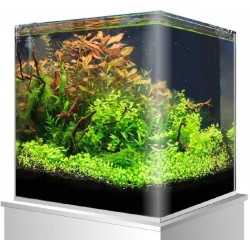Nanotank 60 L con coperchio Amtra