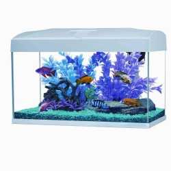 54 litres de base LED