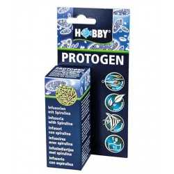 Protogène 20 ml Hobby avanotti