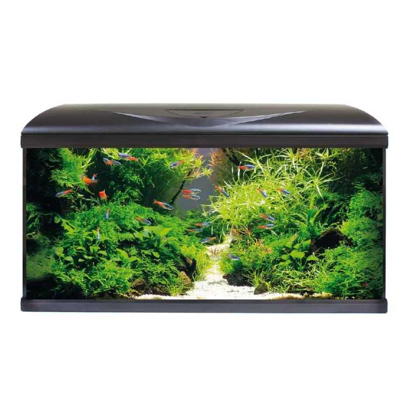 AMTRA Réservoir système V2 80 LED