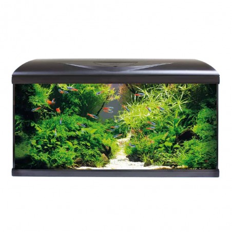 AMTRA Réservoir système V2 80 LED