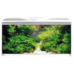 AMTRA Réservoir système V2 80 LED 2
