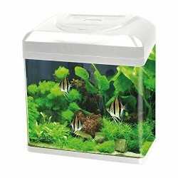 Billy Aquarium 16 Blu Bios led