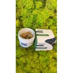 Comprimé de boost de plante Oase 2