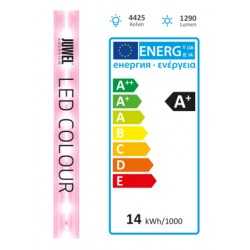LED Colour, lampada ricambio luce rosata - Juwel 2