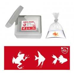 Fish shipping kit and live food