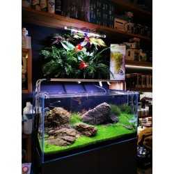 HYDROPONIC PLUS VERSA JARDIN - Mur vert - Aquael 2