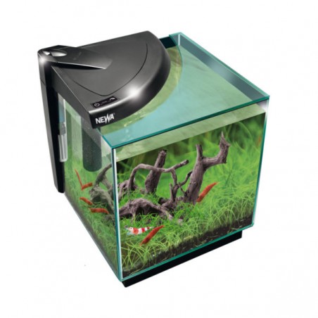 Newa More 20 Caridinae, acquario per gamberetti da 18 litri - Newa