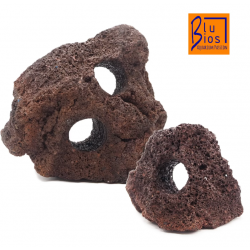 Roccia Lava con fori Blu bios