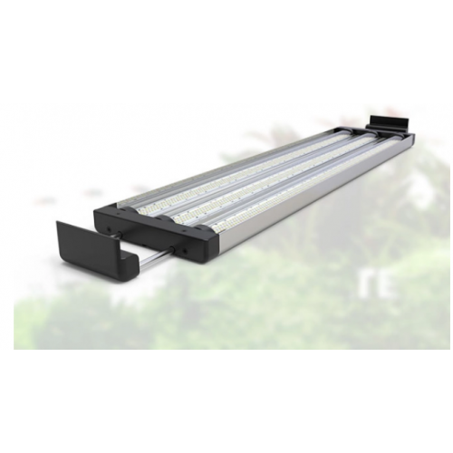 AQUAVIEW 65 SW marino Aquatlantis - 136 litri...