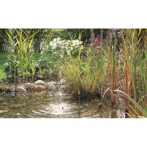 Pontec Pumps with solar panel for Pondosolar...