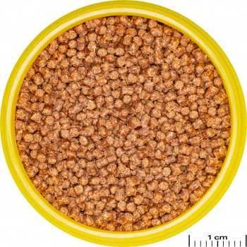 JBL Je pronoun fantail Grain S 100ml 2