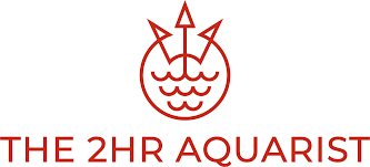 The 2Hr Aquarist