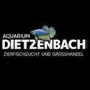 Aquarium dietzenbach