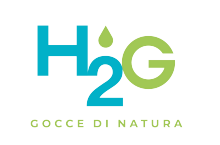 H2G