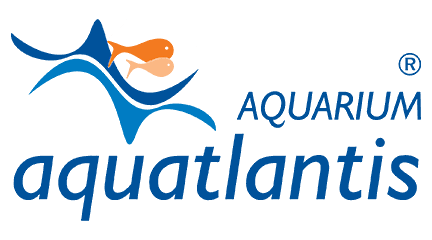 Aquatlantis